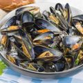 Moules Mariniere Recipe and Wine Pairing